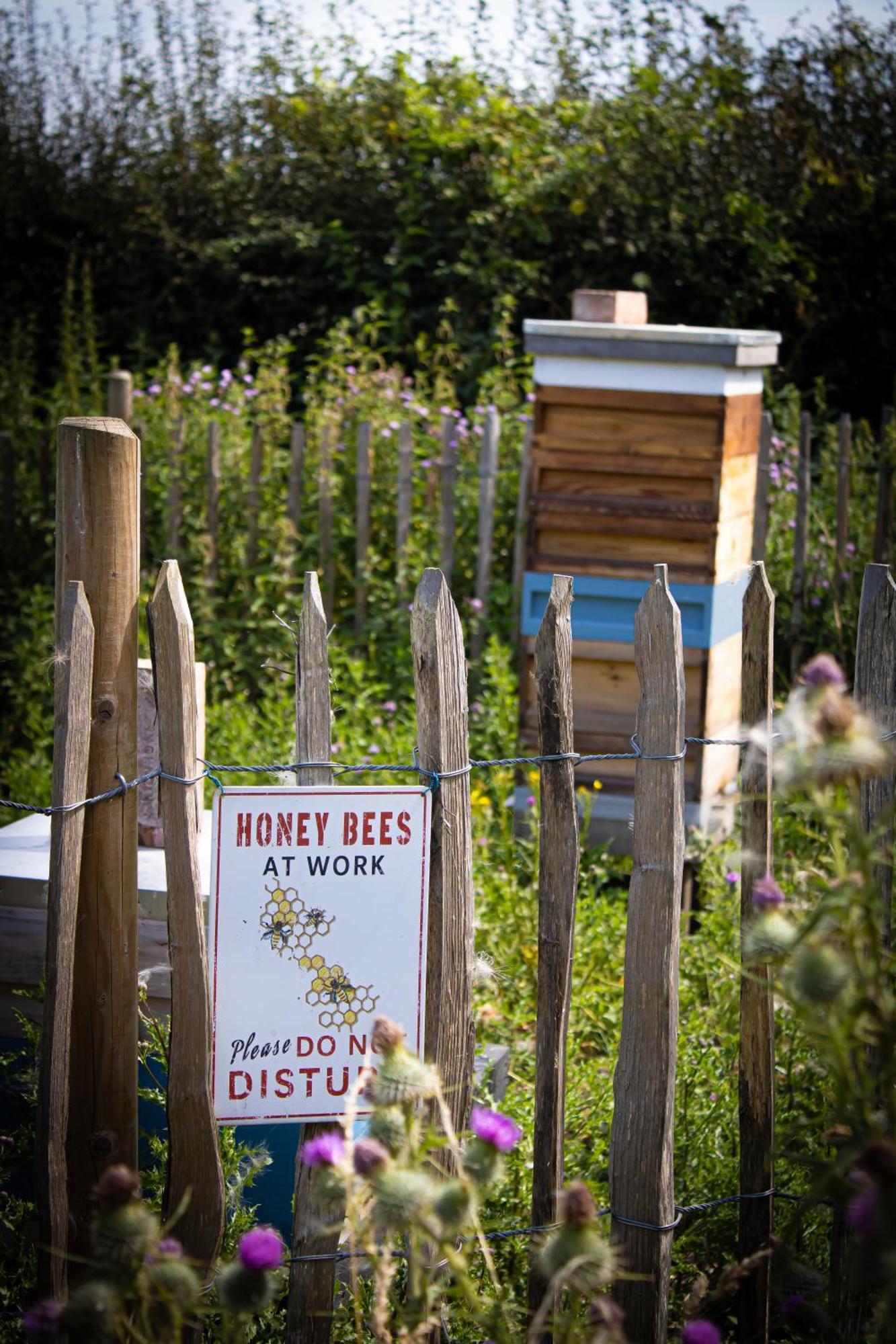 Home Farm & Lodge Bawtry Exteriér fotografie